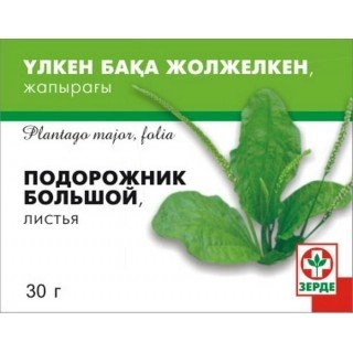 Подорожник большой Зерде Сырье в Казахстане, интернет-аптека Рокет Фарм