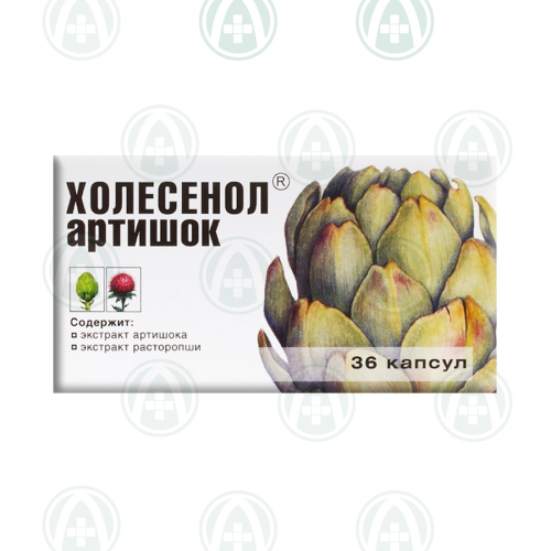 Холесенол Артишок Капсулы в Казахстане, интернет-аптека Рокет Фарм